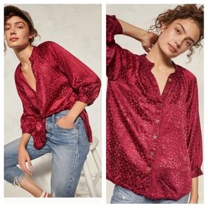 Anthropologie Susanna Burnout Velvet Buttondown L